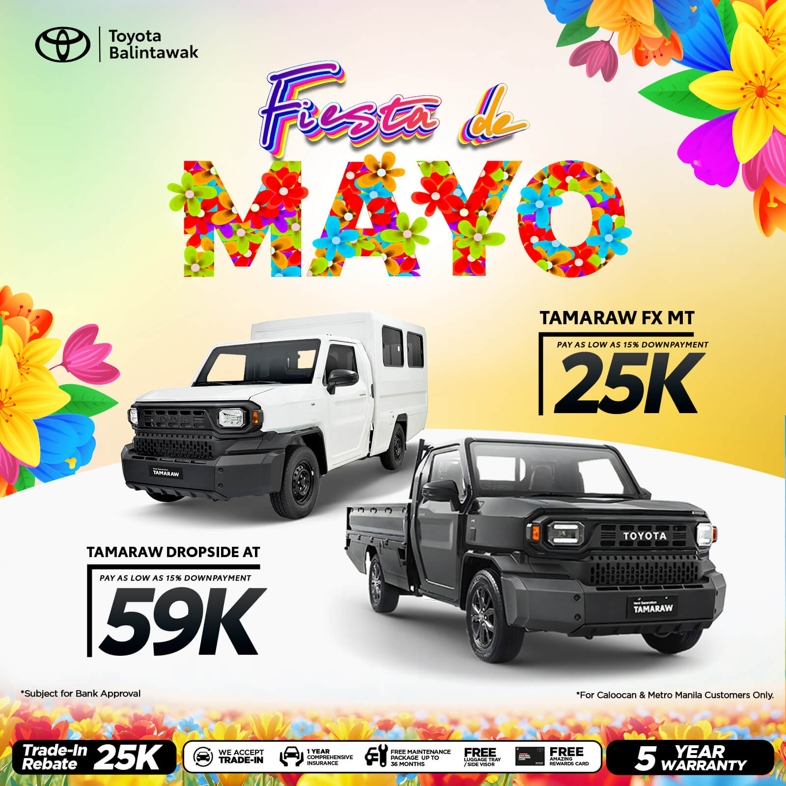 Tamaraw Promo